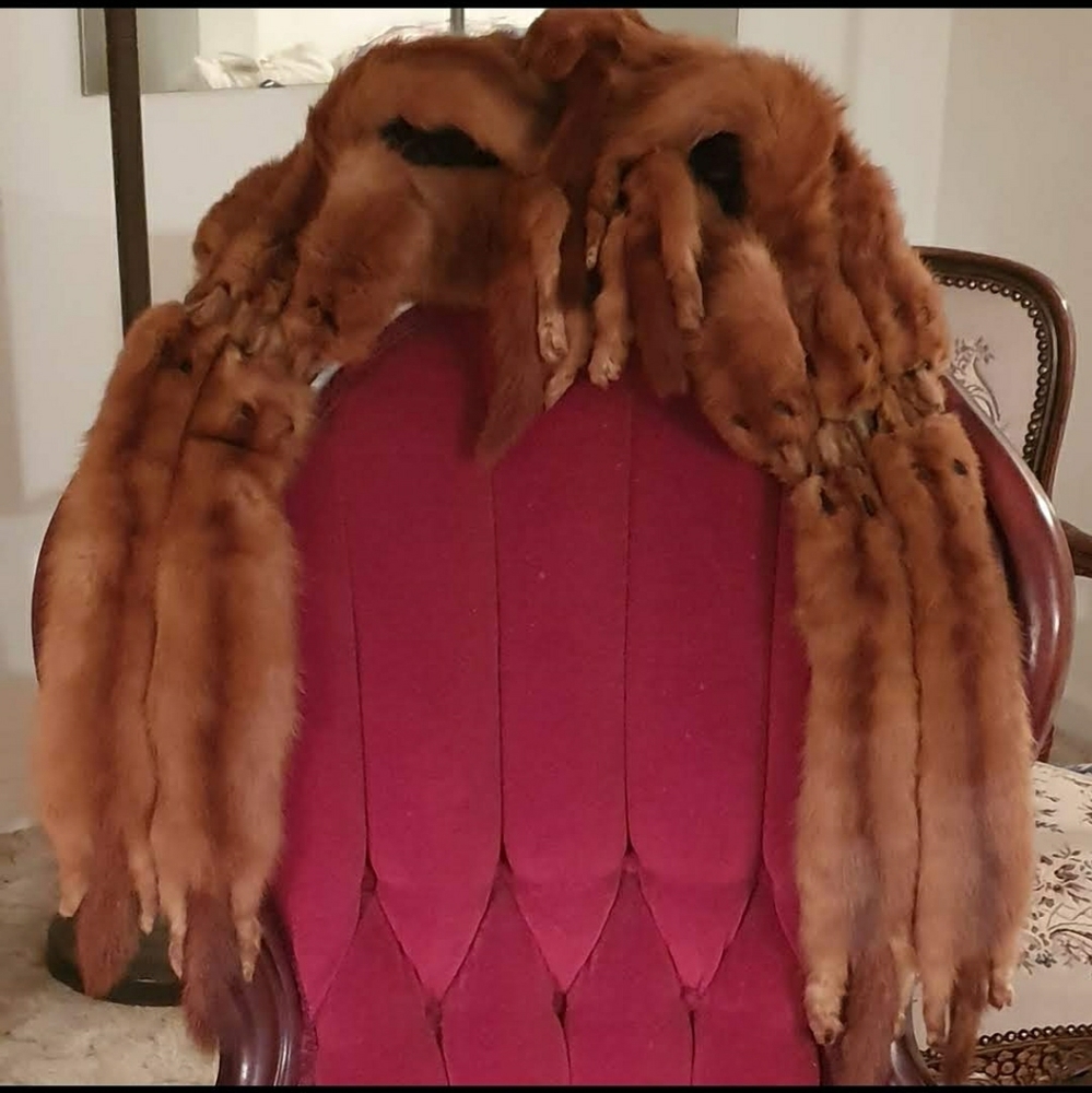 Stunning Vintage Mink Stole